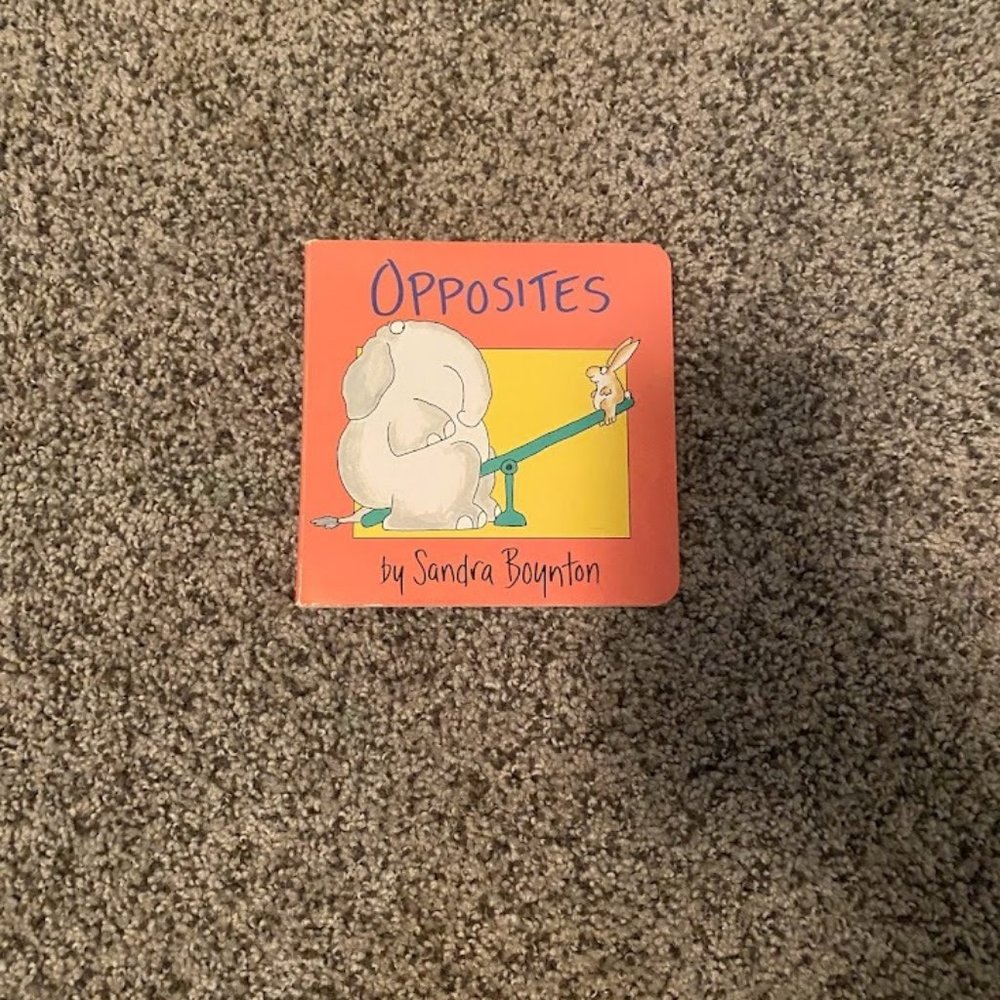 Opposites Book